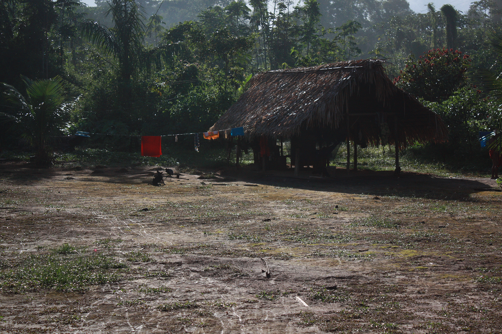 campo 4 159 – Fotografia de Campo Kraho